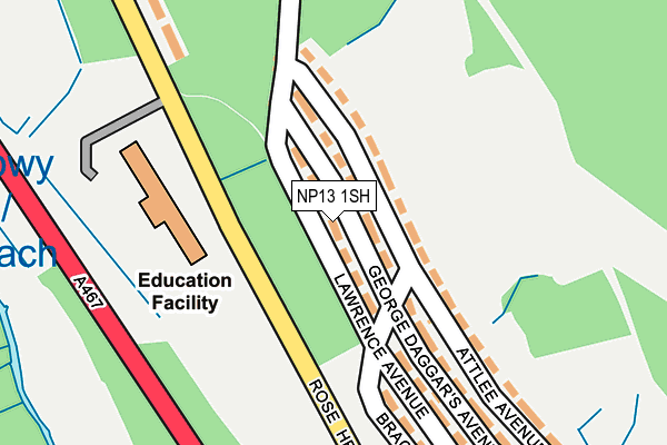 NP13 1SH map - OS OpenMap – Local (Ordnance Survey)