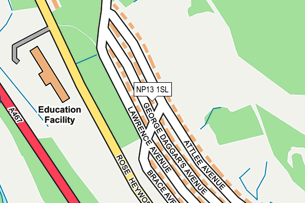 NP13 1SL map - OS OpenMap – Local (Ordnance Survey)