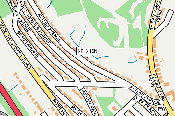 NP13 1SN map - OS OpenMap – Local (Ordnance Survey)