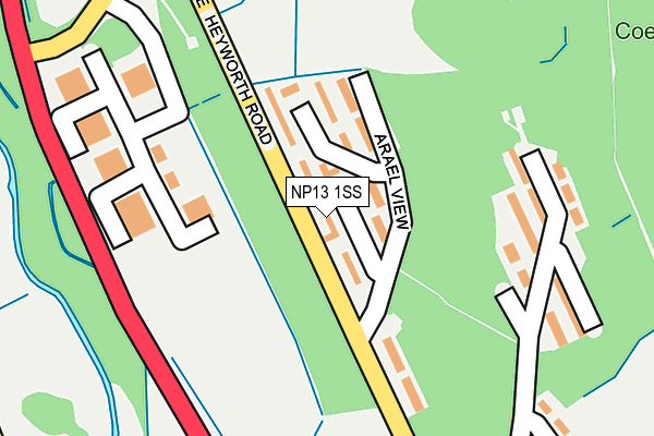 NP13 1SS map - OS OpenMap – Local (Ordnance Survey)
