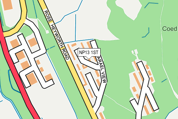 NP13 1ST map - OS OpenMap – Local (Ordnance Survey)