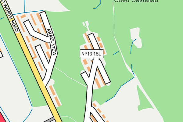 NP13 1SU map - OS OpenMap – Local (Ordnance Survey)
