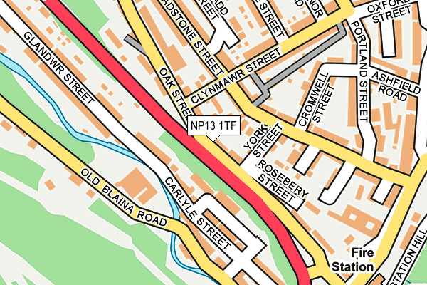 NP13 1TF map - OS OpenMap – Local (Ordnance Survey)