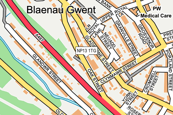 NP13 1TG map - OS OpenMap – Local (Ordnance Survey)