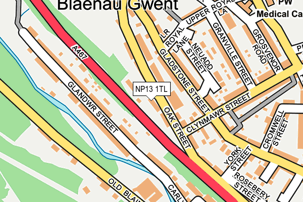 NP13 1TL map - OS OpenMap – Local (Ordnance Survey)