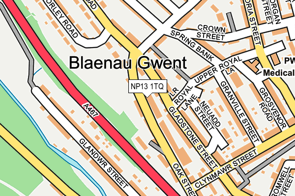 NP13 1TQ map - OS OpenMap – Local (Ordnance Survey)