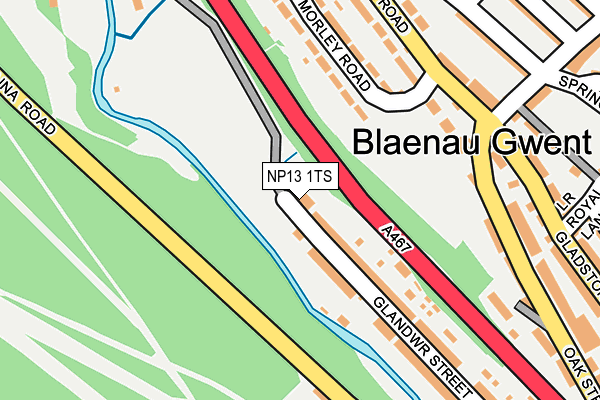 NP13 1TS map - OS OpenMap – Local (Ordnance Survey)