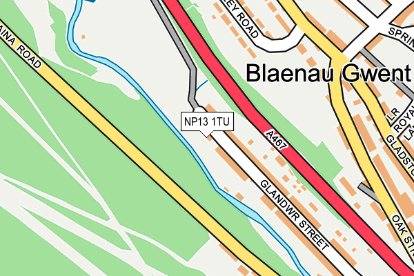 NP13 1TU map - OS OpenMap – Local (Ordnance Survey)