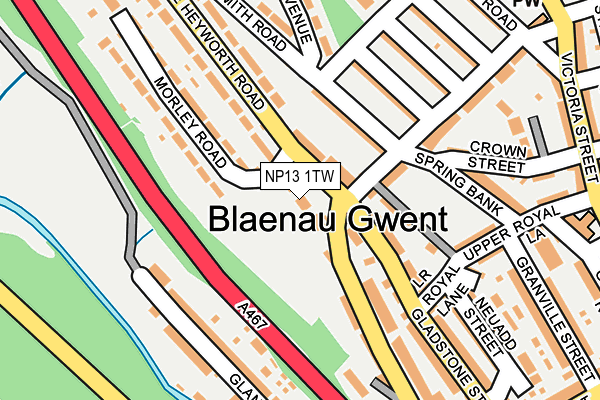 NP13 1TW map - OS OpenMap – Local (Ordnance Survey)