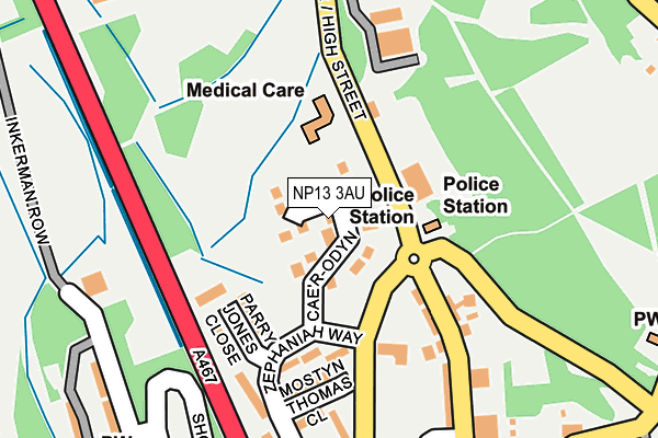 NP13 3AU map - OS OpenMap – Local (Ordnance Survey)