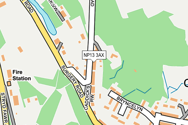 NP13 3AX map - OS OpenMap – Local (Ordnance Survey)