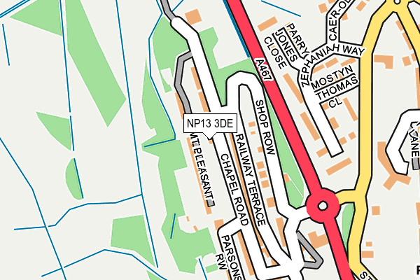 NP13 3DE map - OS OpenMap – Local (Ordnance Survey)