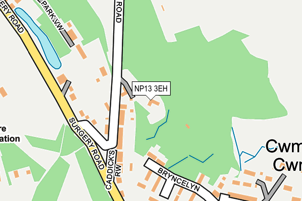 NP13 3EH map - OS OpenMap – Local (Ordnance Survey)