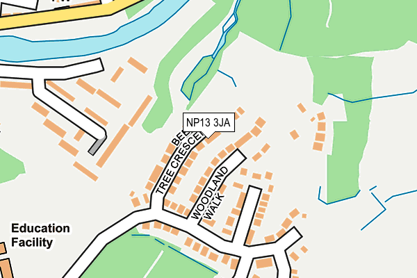 NP13 3JA map - OS OpenMap – Local (Ordnance Survey)