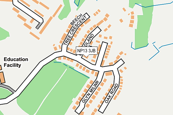 NP13 3JB map - OS OpenMap – Local (Ordnance Survey)