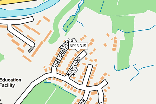 NP13 3JS map - OS OpenMap – Local (Ordnance Survey)