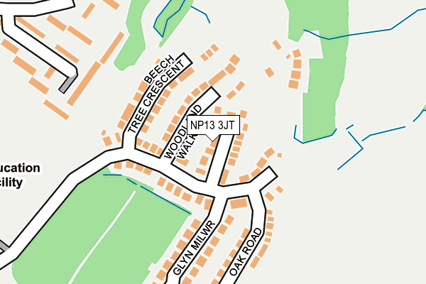 NP13 3JT map - OS OpenMap – Local (Ordnance Survey)