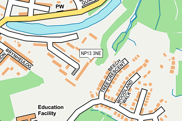 NP13 3NE map - OS OpenMap – Local (Ordnance Survey)