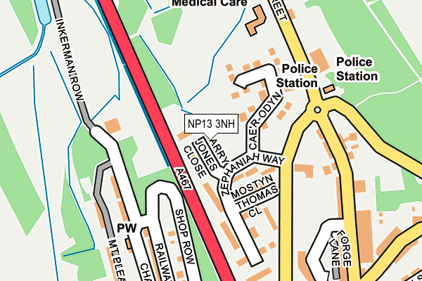 NP13 3NH map - OS OpenMap – Local (Ordnance Survey)