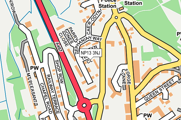 NP13 3NJ map - OS OpenMap – Local (Ordnance Survey)