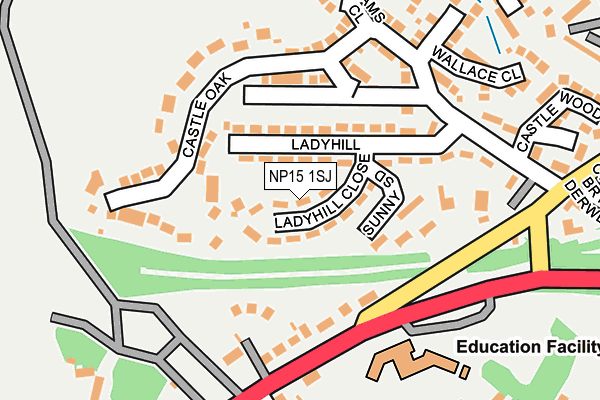 NP15 1SJ map - OS OpenMap – Local (Ordnance Survey)