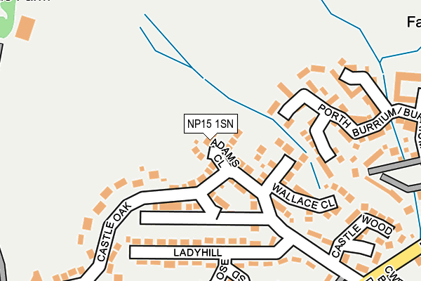 NP15 1SN map - OS OpenMap – Local (Ordnance Survey)