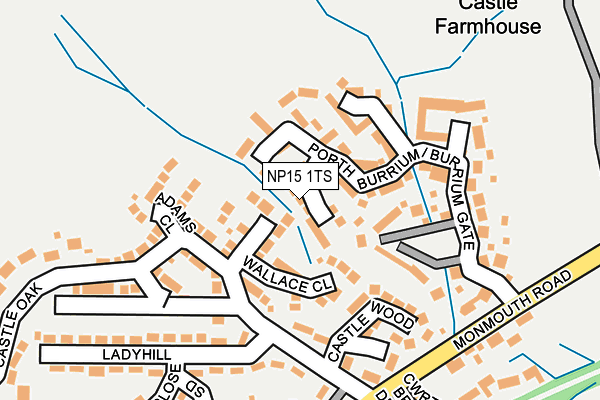 NP15 1TS map - OS OpenMap – Local (Ordnance Survey)