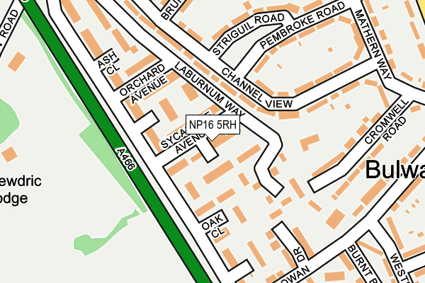NP16 5RH map - OS OpenMap – Local (Ordnance Survey)