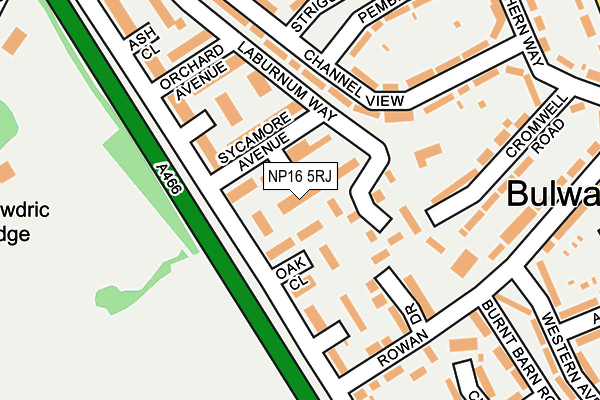 NP16 5RJ map - OS OpenMap – Local (Ordnance Survey)