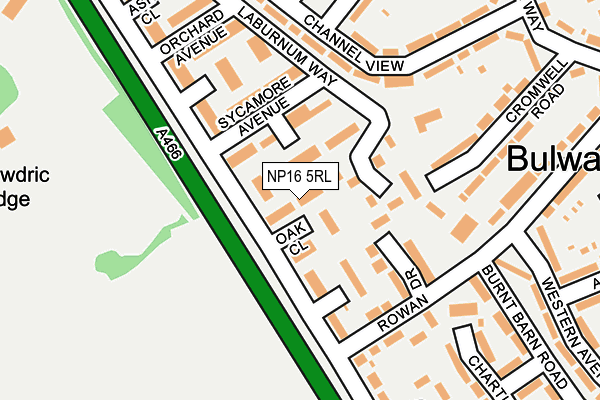 NP16 5RL map - OS OpenMap – Local (Ordnance Survey)