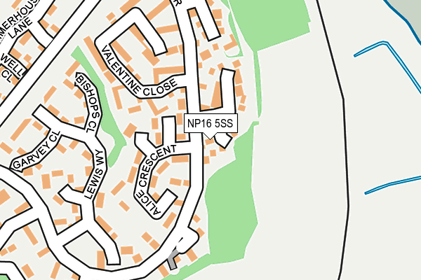 NP16 5SS map - OS OpenMap – Local (Ordnance Survey)