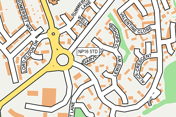 NP16 5TD map - OS OpenMap – Local (Ordnance Survey)