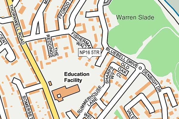 NP16 5TR map - OS OpenMap – Local (Ordnance Survey)
