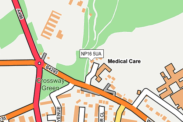 NP16 5UA map - OS OpenMap – Local (Ordnance Survey)