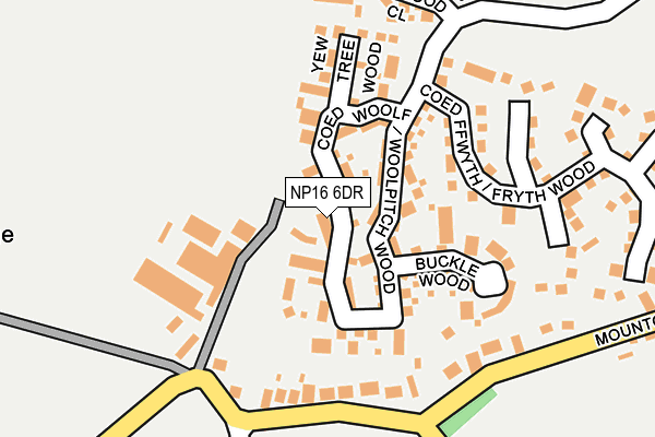 NP16 6DR map - OS OpenMap – Local (Ordnance Survey)