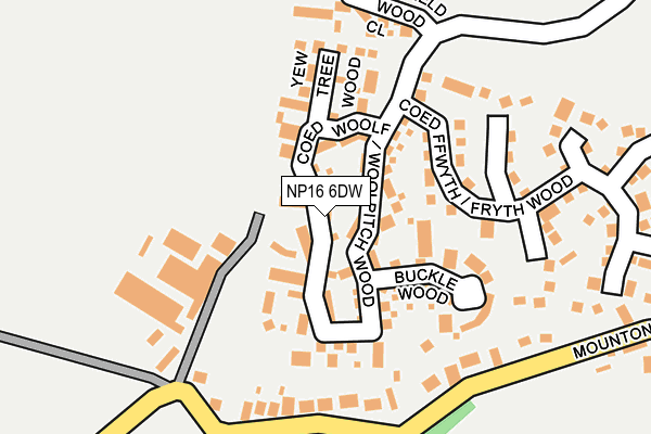 NP16 6DW map - OS OpenMap – Local (Ordnance Survey)