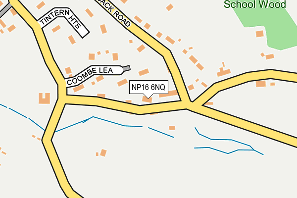 NP16 6NQ map - OS OpenMap – Local (Ordnance Survey)