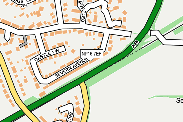 NP16 7EF map - OS OpenMap – Local (Ordnance Survey)