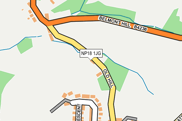 NP18 1JG map - OS OpenMap – Local (Ordnance Survey)