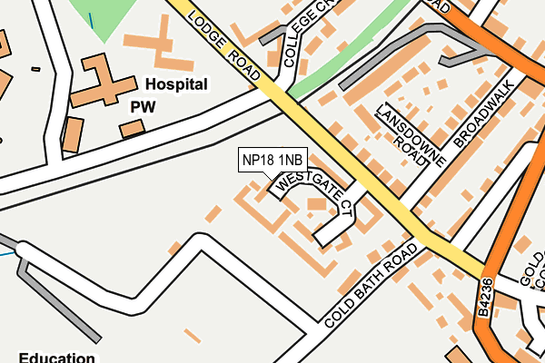 NP18 1NB map - OS OpenMap – Local (Ordnance Survey)