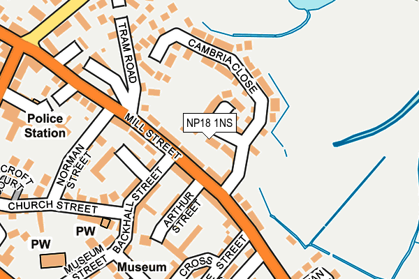NP18 1NS map - OS OpenMap – Local (Ordnance Survey)