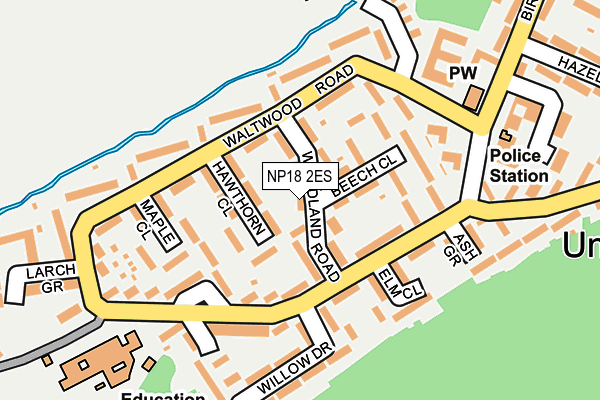 NP18 2ES map - OS OpenMap – Local (Ordnance Survey)