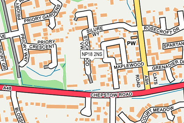 NP18 2NS map - OS OpenMap – Local (Ordnance Survey)