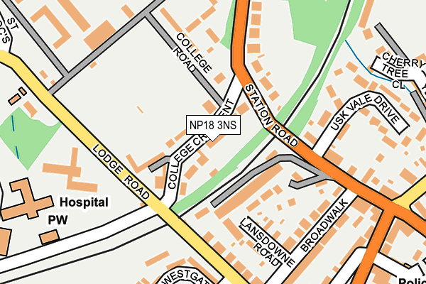 NP18 3NS map - OS OpenMap – Local (Ordnance Survey)