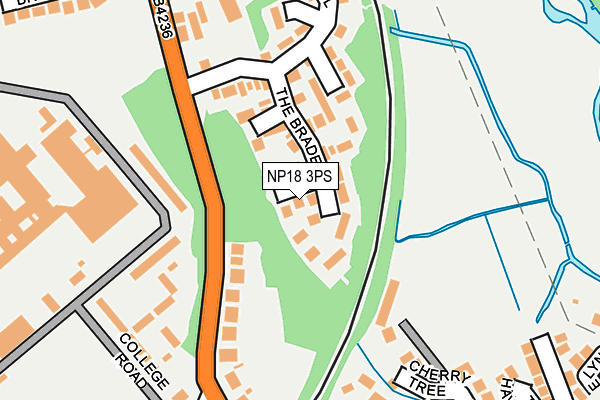 NP18 3PS map - OS OpenMap – Local (Ordnance Survey)