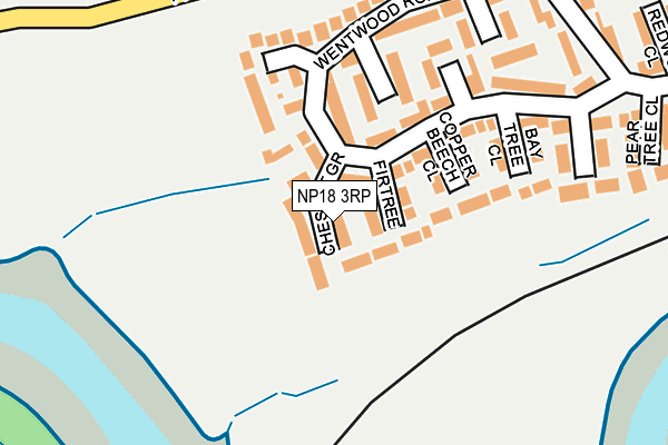 NP18 3RP map - OS OpenMap – Local (Ordnance Survey)