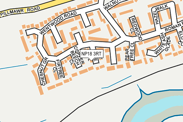 NP18 3RT map - OS OpenMap – Local (Ordnance Survey)