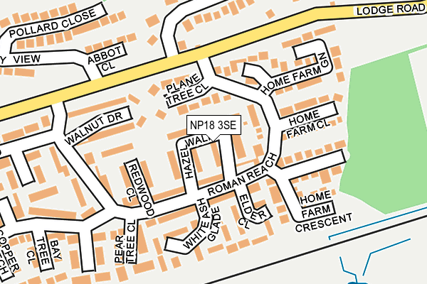 NP18 3SE map - OS OpenMap – Local (Ordnance Survey)