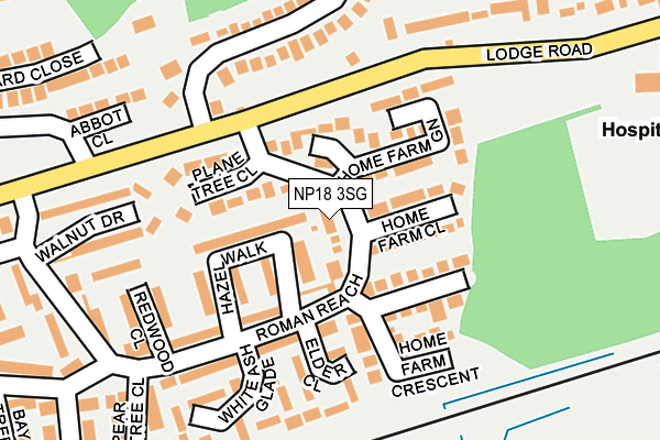 NP18 3SG map - OS OpenMap – Local (Ordnance Survey)