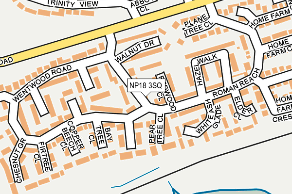 NP18 3SQ map - OS OpenMap – Local (Ordnance Survey)